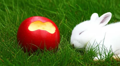 Illustration poisoned - Image 1