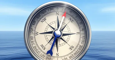 Illustration flys - Image 1