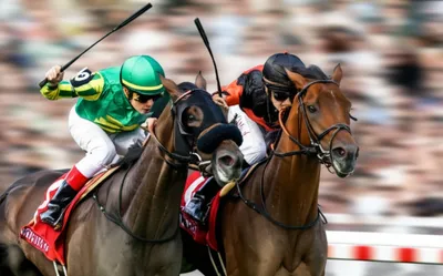 Illustration jockeying - Image 1