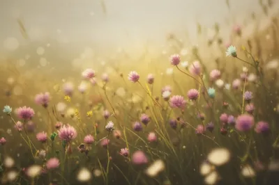 Illustration pleasantly - Image 1