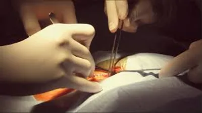 Illustration explore - Image 3