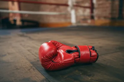 Illustration duals - Image 1