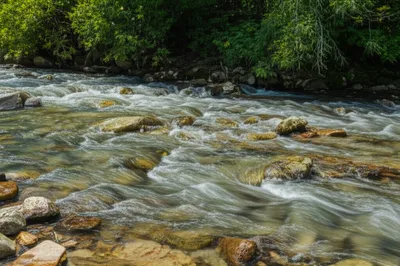 Illustration riffle - Image 1