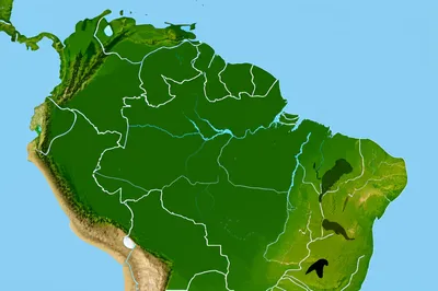 Illustration area - Image 1