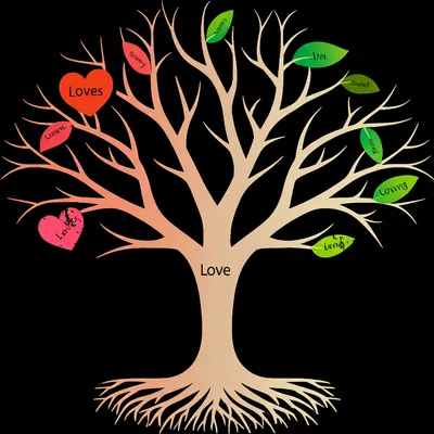 Illustration conjugate - Image 1