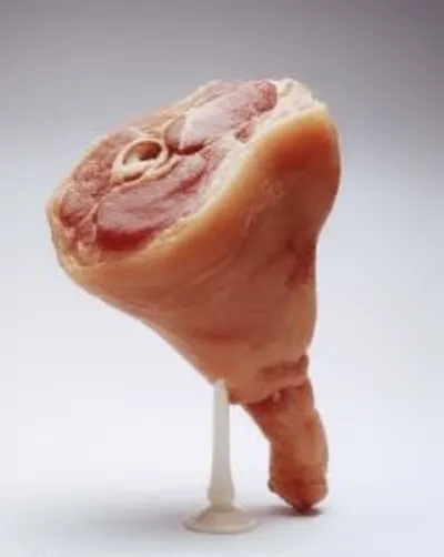 Illustration wobbler - Image 1