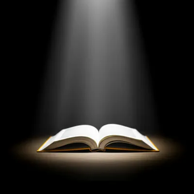 Illustration focussed - Image 1