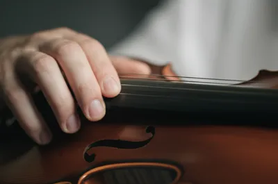 Illustration plucking - Image 1