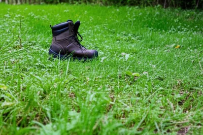 Illustration problem - Image 1