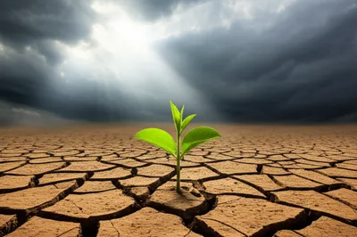 Illustration solutions - Image 1