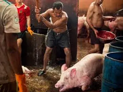 Hình ảnh minh họa killer - Ảnh 3