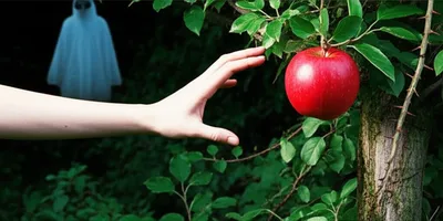 Illustration trespasses - Image 1