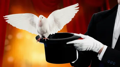 Illustration makes - Image 1