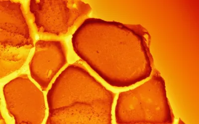 Illustration sinter - Image 1