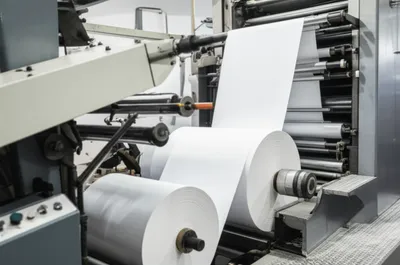 Illustration webs - Image 1