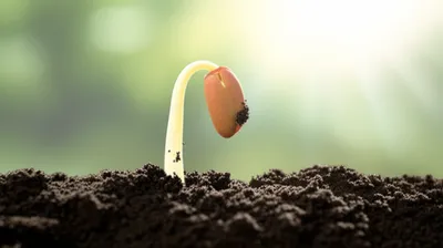 Illustration ab - Image 1