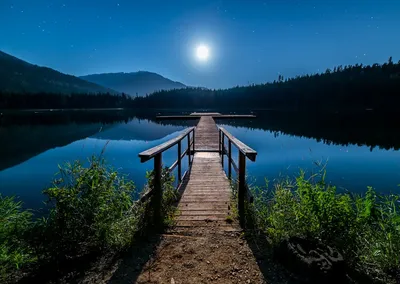 Illustration moonlighted - Image 2