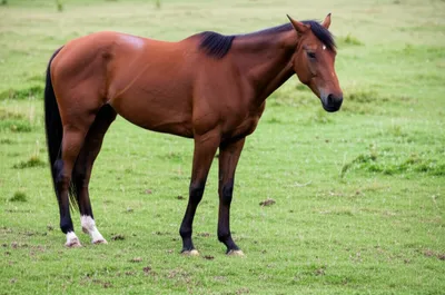 Illustration tread - Image 1