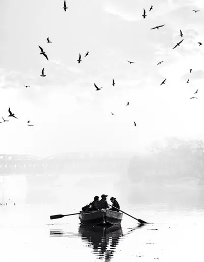 Illustration oars - Image 2