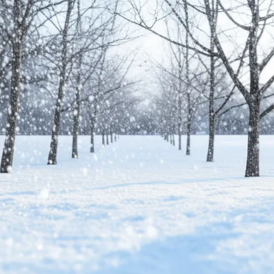 Illustration snow - Image 1