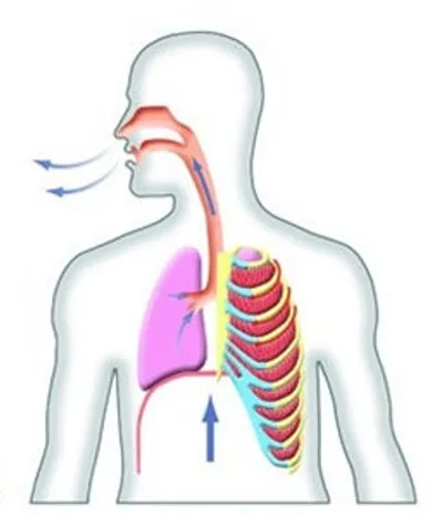 Illustration exhale - Image 2