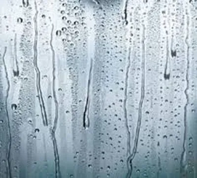 Illustration dampness - Image 2