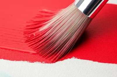 Illustration paint - Image 1