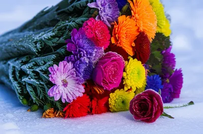 Illustration frosts - Image 1