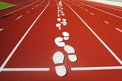 Illustration begun - Image 1