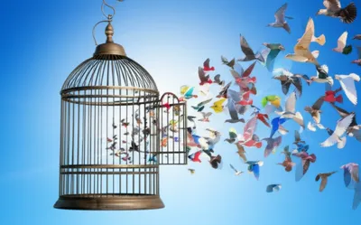 Illustration breaking - Image 1