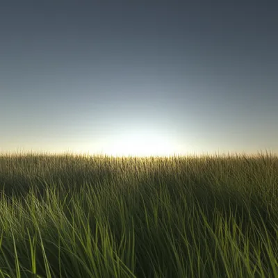 Illustration dusk - Image 1