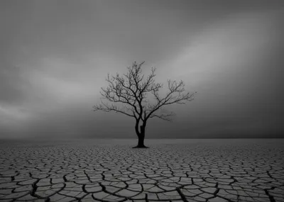 Illustration monochromatic - Image 1