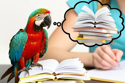 Illustration regurgitate - Image 1