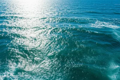 Illustration brine - Image 1