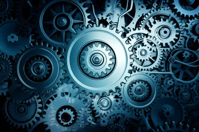 Illustration organized - Image 1