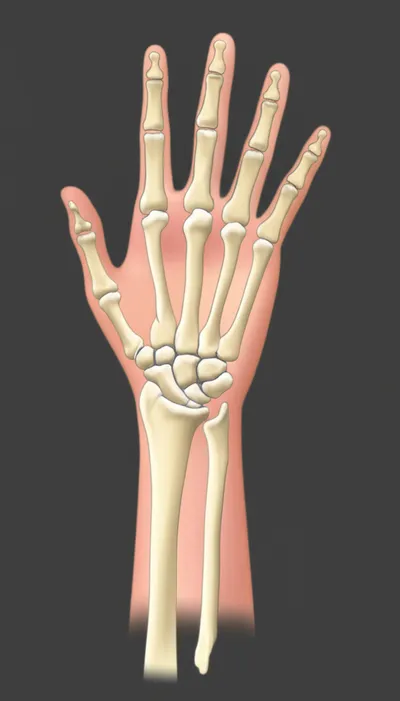 Illustration hand