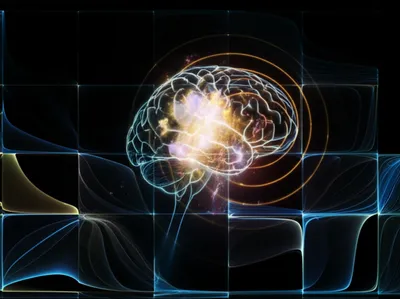 Illustration recall - Image 1