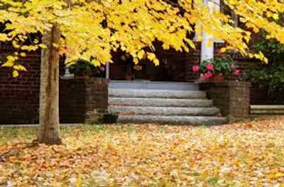 Illustration shed - Image 2