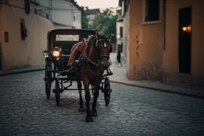 Illustration whiskies - Image 1