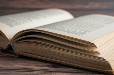 Illustration folios - Image 1