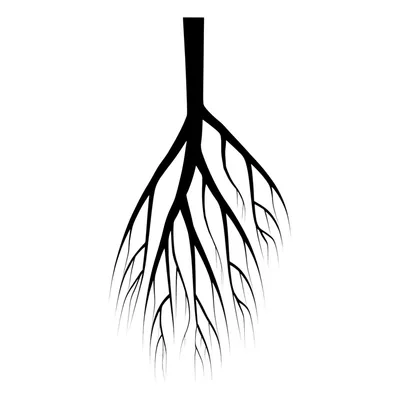 Illustration descend - Image 1