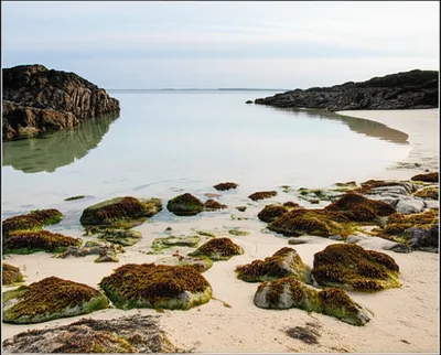 Illustration pill - Image 1