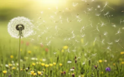 Illustration scale - Image 1