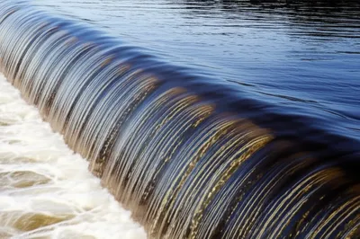 Hình ảnh minh họa discharges - Ảnh 1