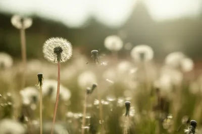 Illustration airy - Image 1