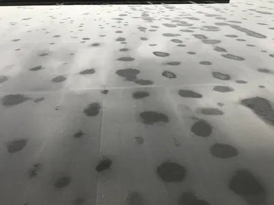 Illustration birdbath - Image 1