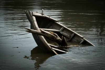 Illustration snag - Image 1