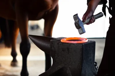 Illustration farrier - Image 1