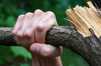 Illustration clubbed - Image 1