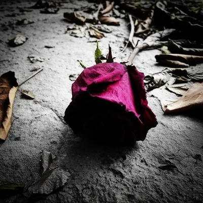 Illustration unliked - Image 1